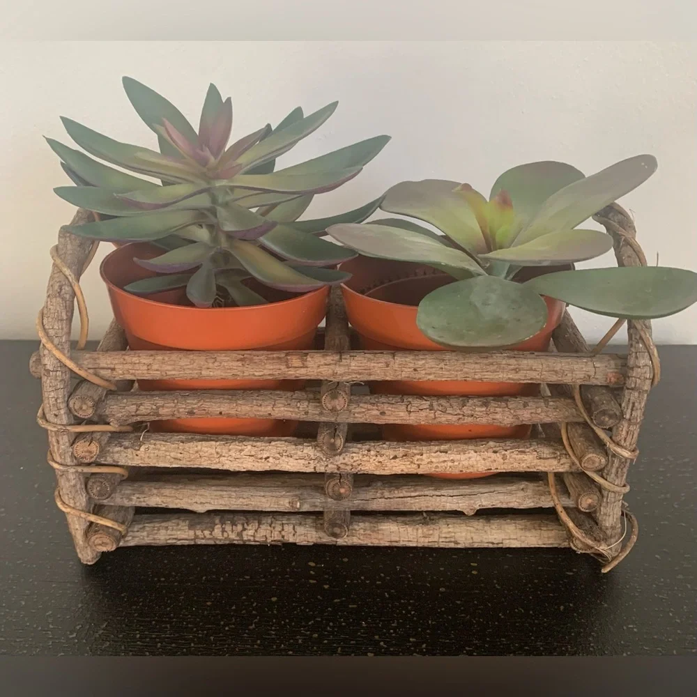Rustic Twig Planter
